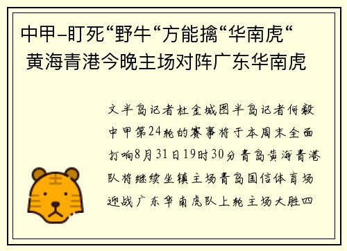 中甲-盯死“野牛“方能擒“华南虎“ 黄海青港今晚主场对阵广东华南虎