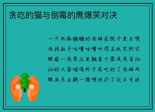 贪吃的猫与倒霉的鹰爆笑对决